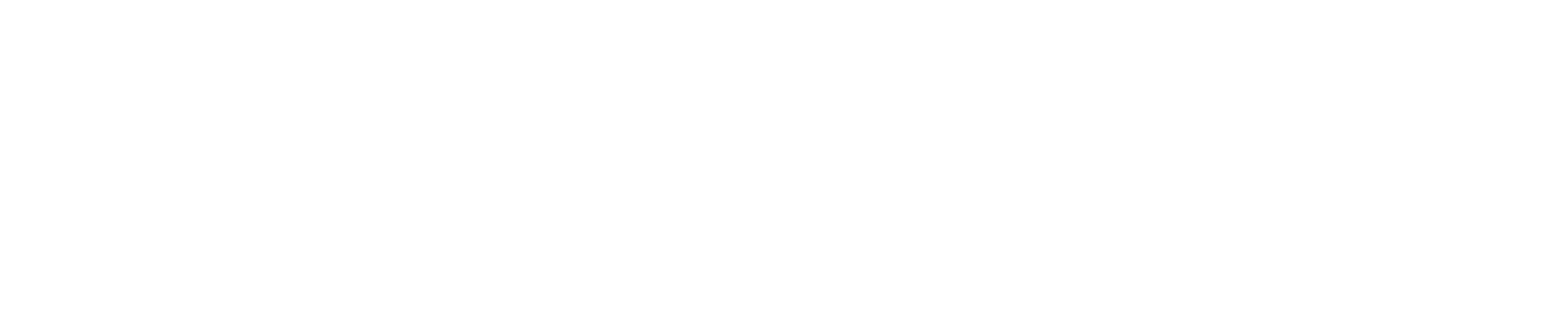 Skinstitute